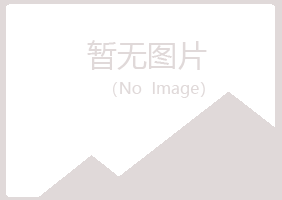 山西夏日能源有限公司